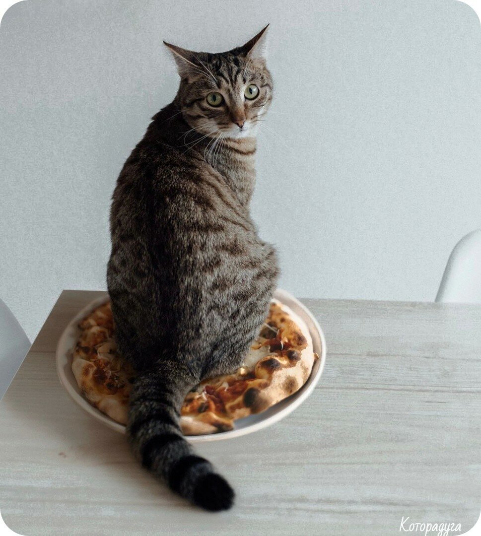 Фото из интернета. Это - наглость! 