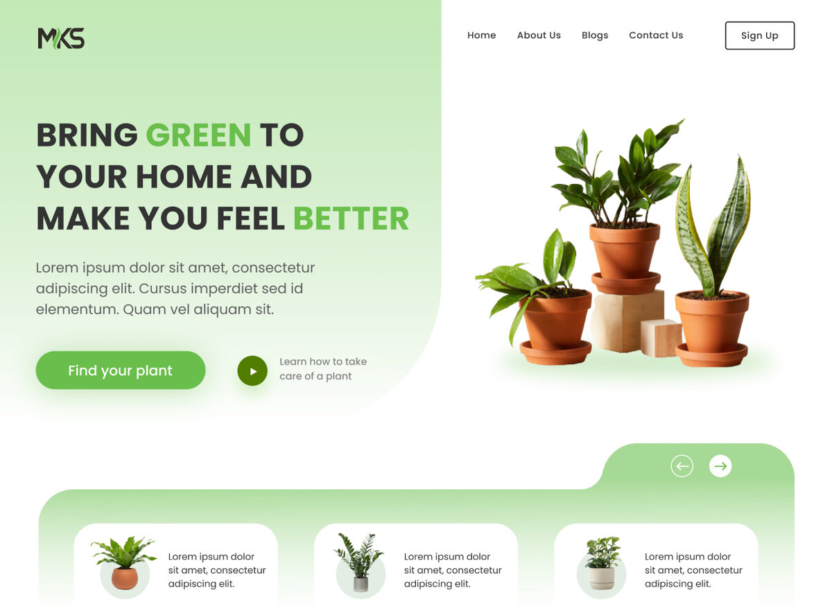 Изображение взято с открытого источника 