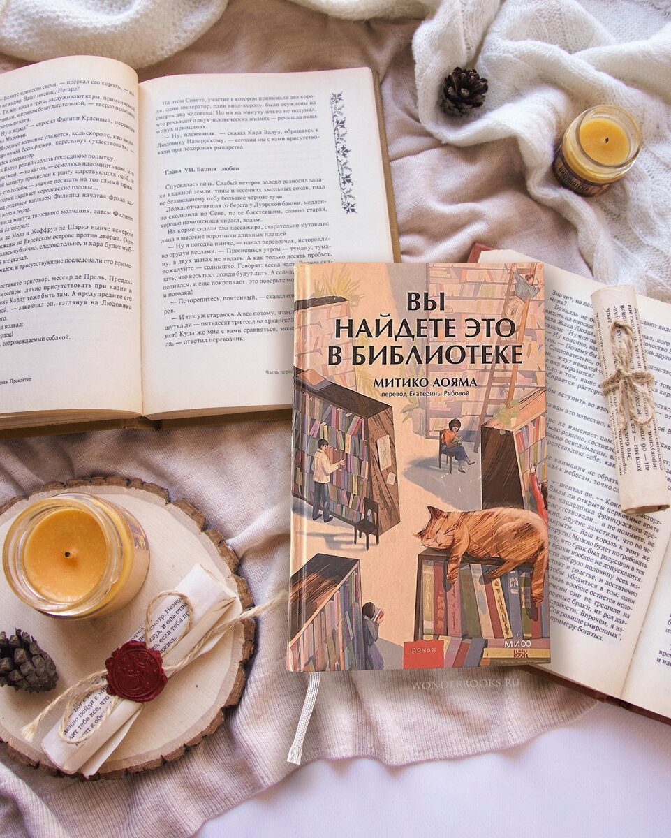 «Вы найдёте это в библиотеке» Митико Аояма - отзыв на книгу