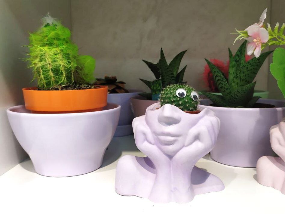 У многих людей дома есть цветы в горшках. Только вот как ухаживать за ними грамотно, знают не все