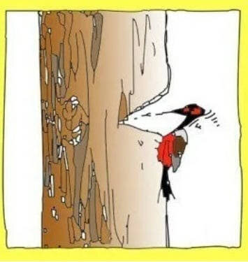 так (по стрелке ">") выглядит финал хорошего, но не продуманного начинания