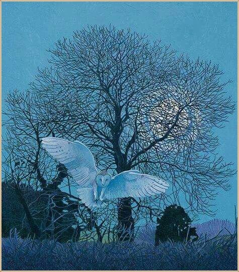© Энн Дина Овенден (Ann Dinah Ovenden). Ноктюрн