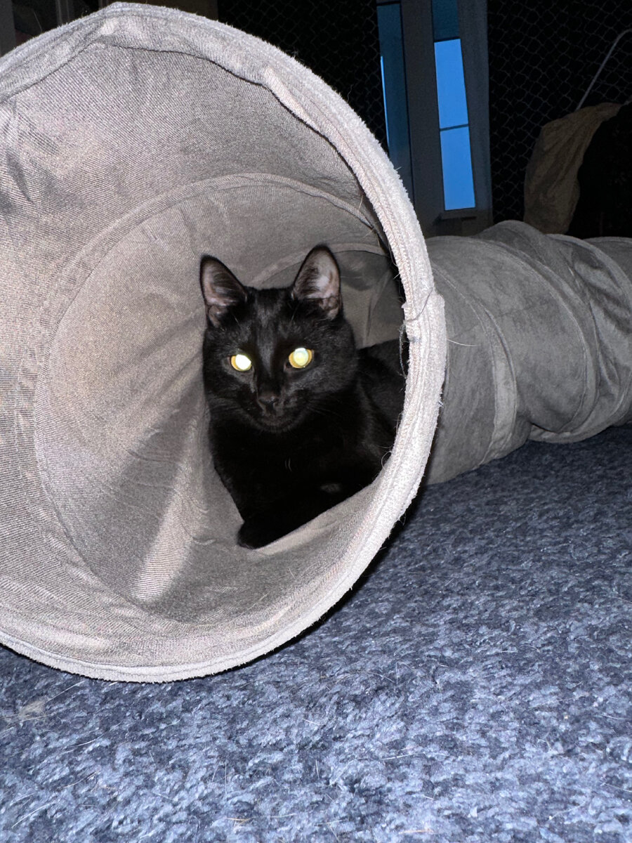 Заказывала на одном из маркетплейсов