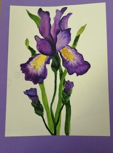 Ирис. Фото из личного архива. 