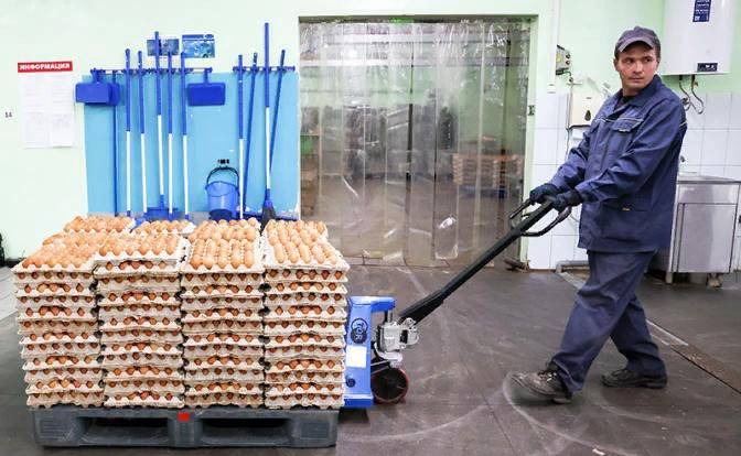 Резкий рост стоимости куриных яиц, не имеющий под собой весомых экономических причин, стал очередным сильным раздражителем российского общества.