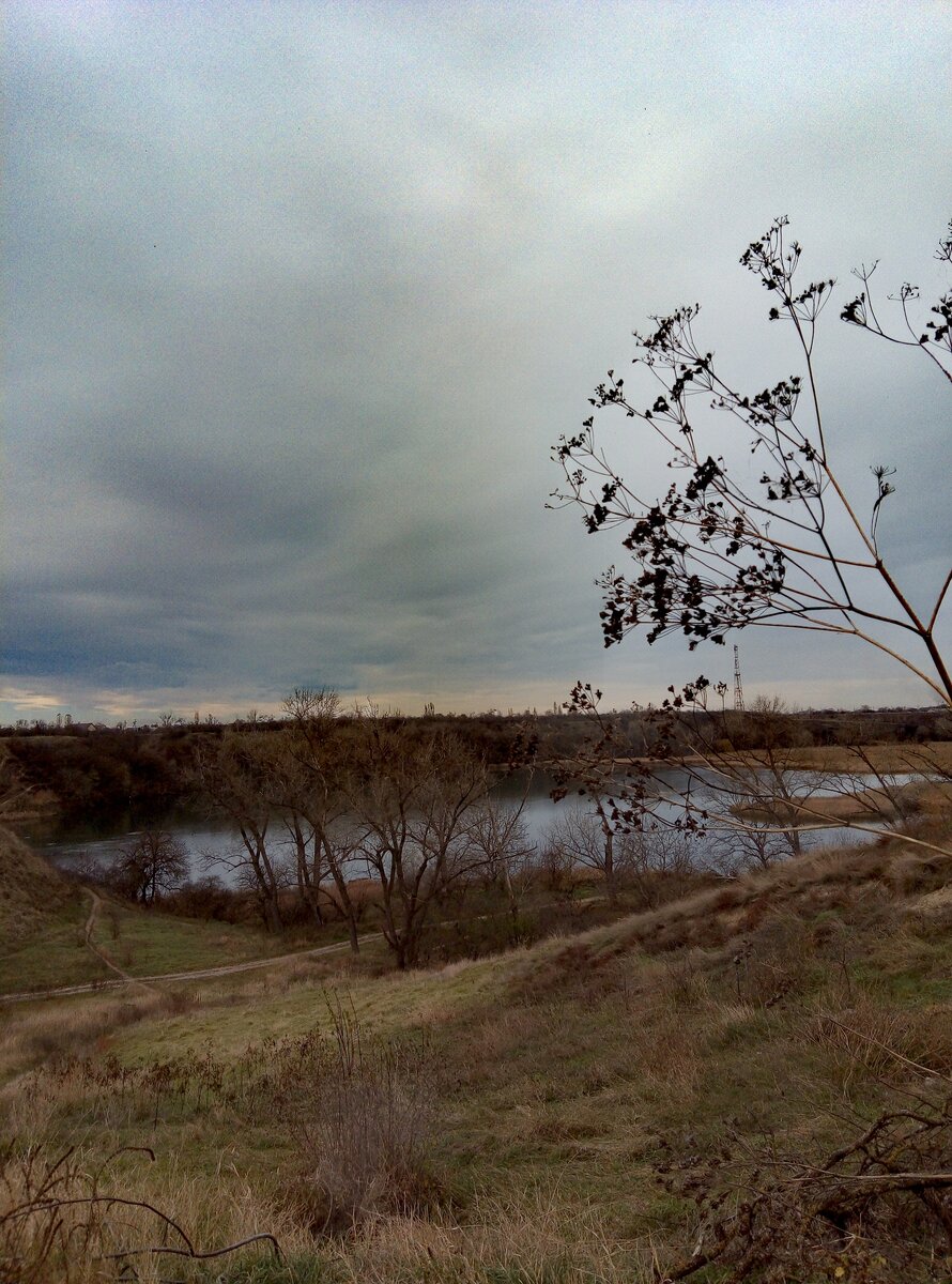 Старое озеро в пойме реки Кура .Ноябрь 2023г