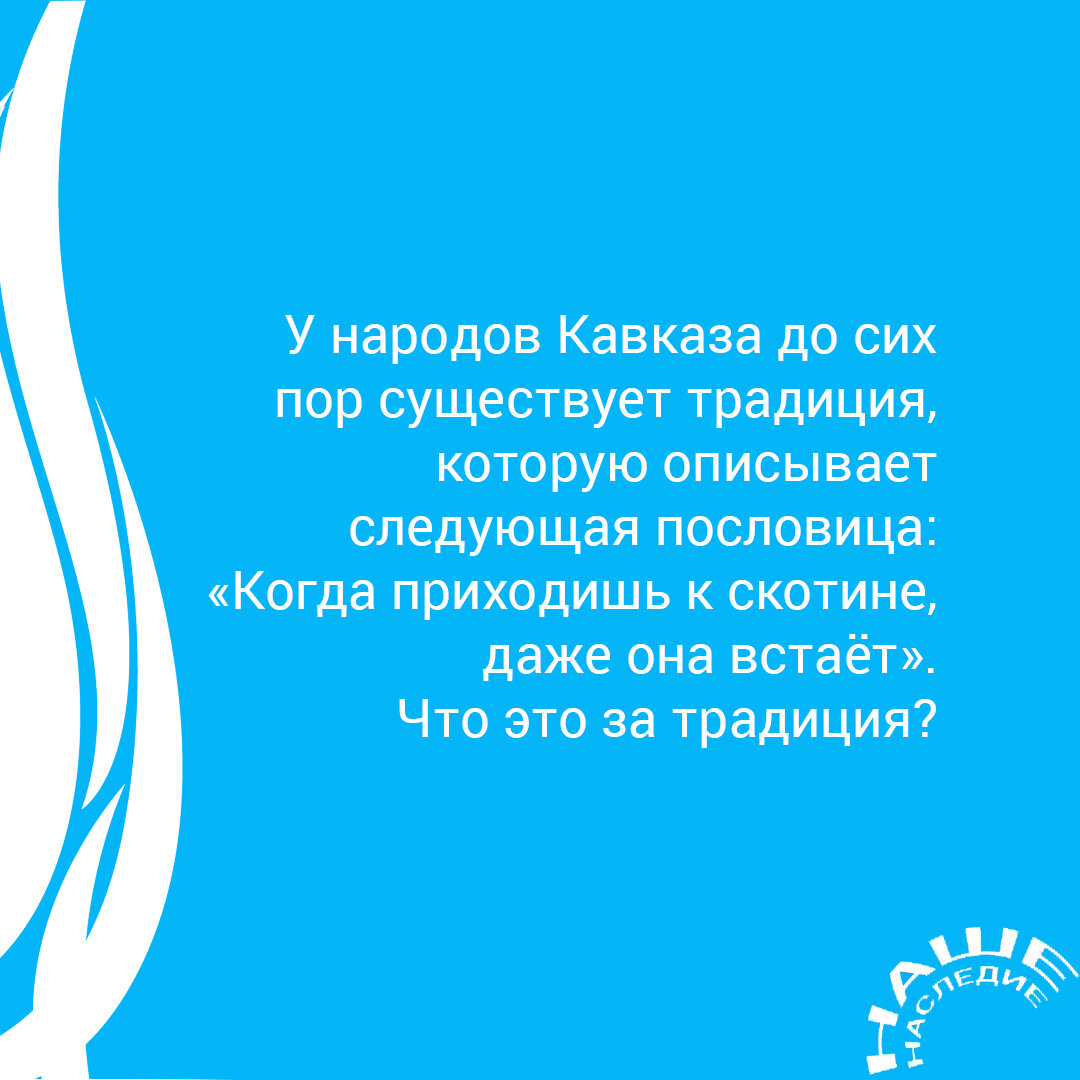 Народы Кавказа: традиционный этикет | Наше наследие | Дзен