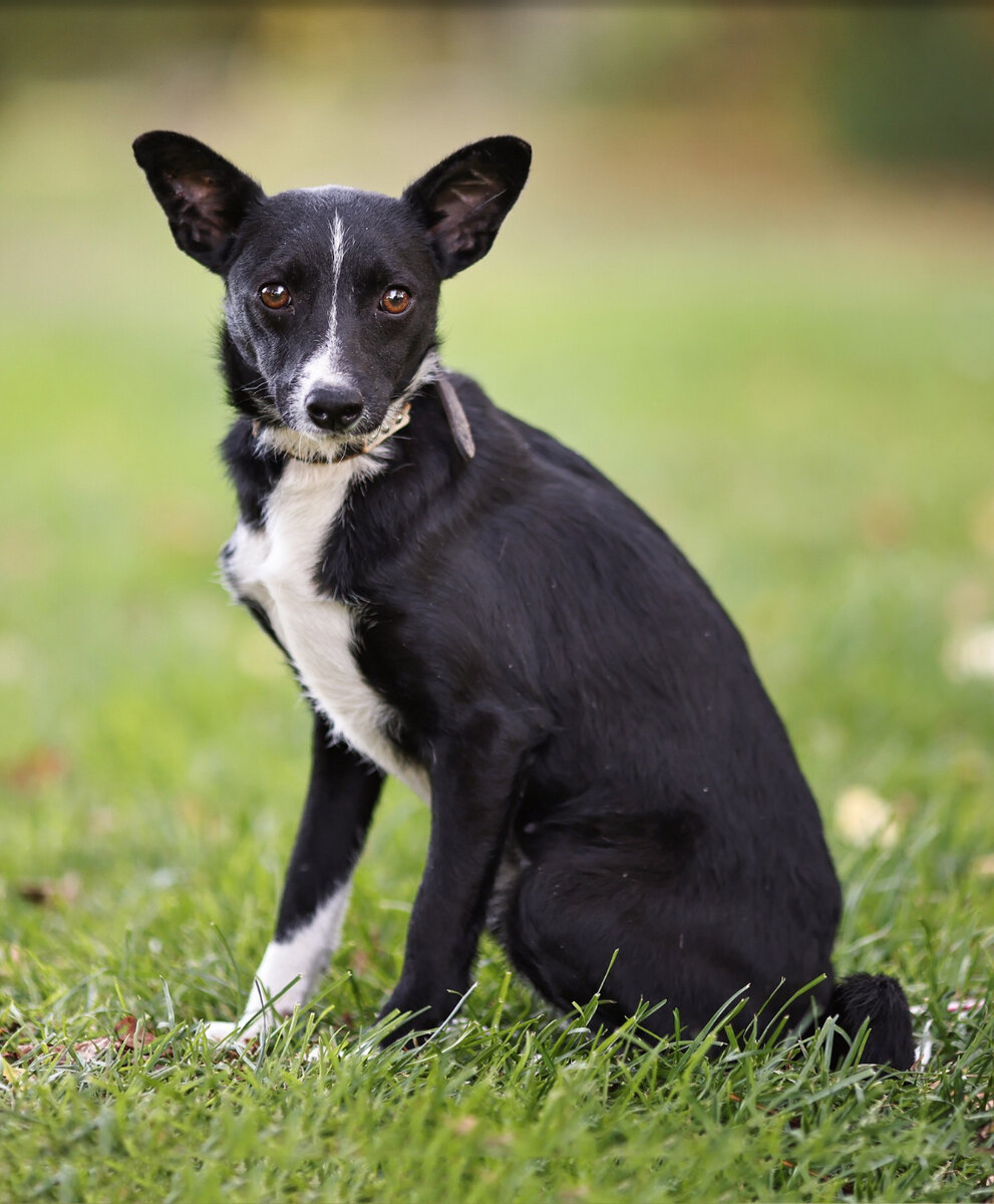 фото- собственность канала 