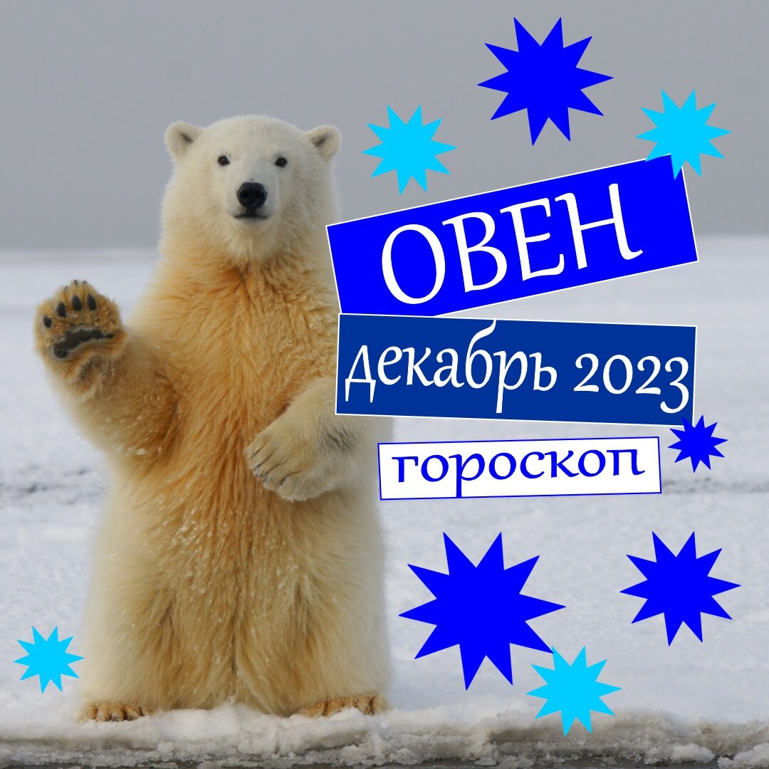 Овен. Гороскоп на декабрь 2023: деньги, любовь, работа, здоровье |  Гороскопы от Астролога | Дзен