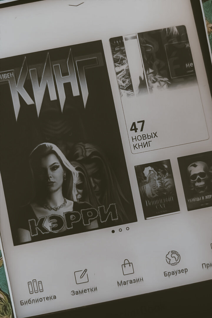 Фото автора. Книга Pocketbook 740