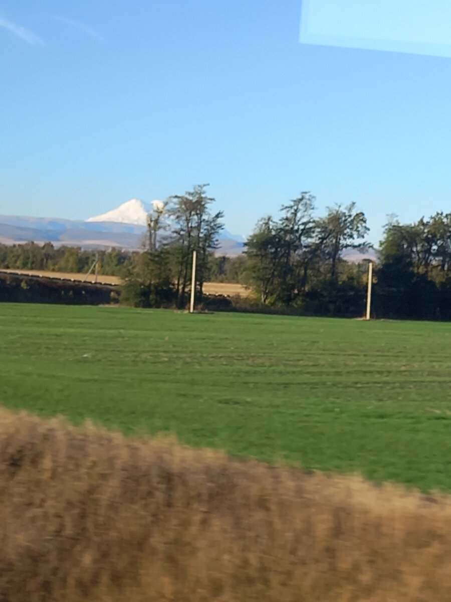 Фото смазанное, летели быстро, но вот он красавчик.