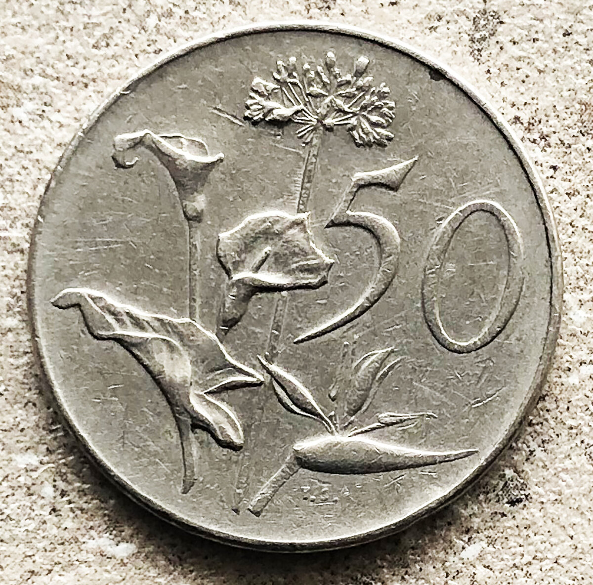 ЮАР 50 центов Цветы Калла и Стрелиция. Фото автора. 