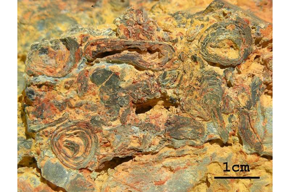 Внеземная жизнь и ее признакию