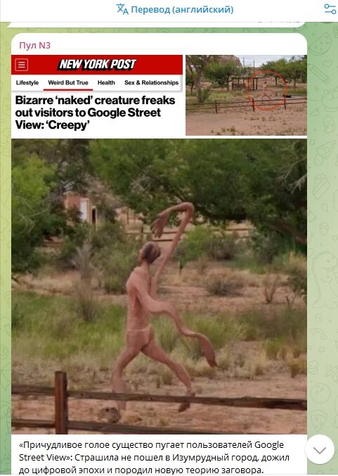 ФОТО: T.ME/DIMSMIRNOV175/59066