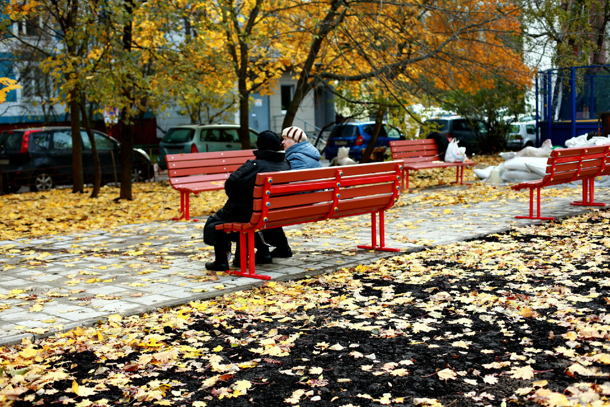 Картинка из интернета