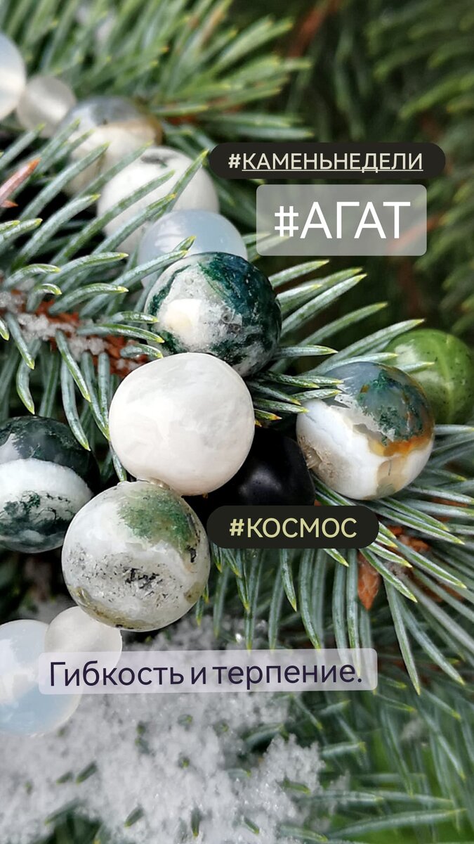 Агат древесный