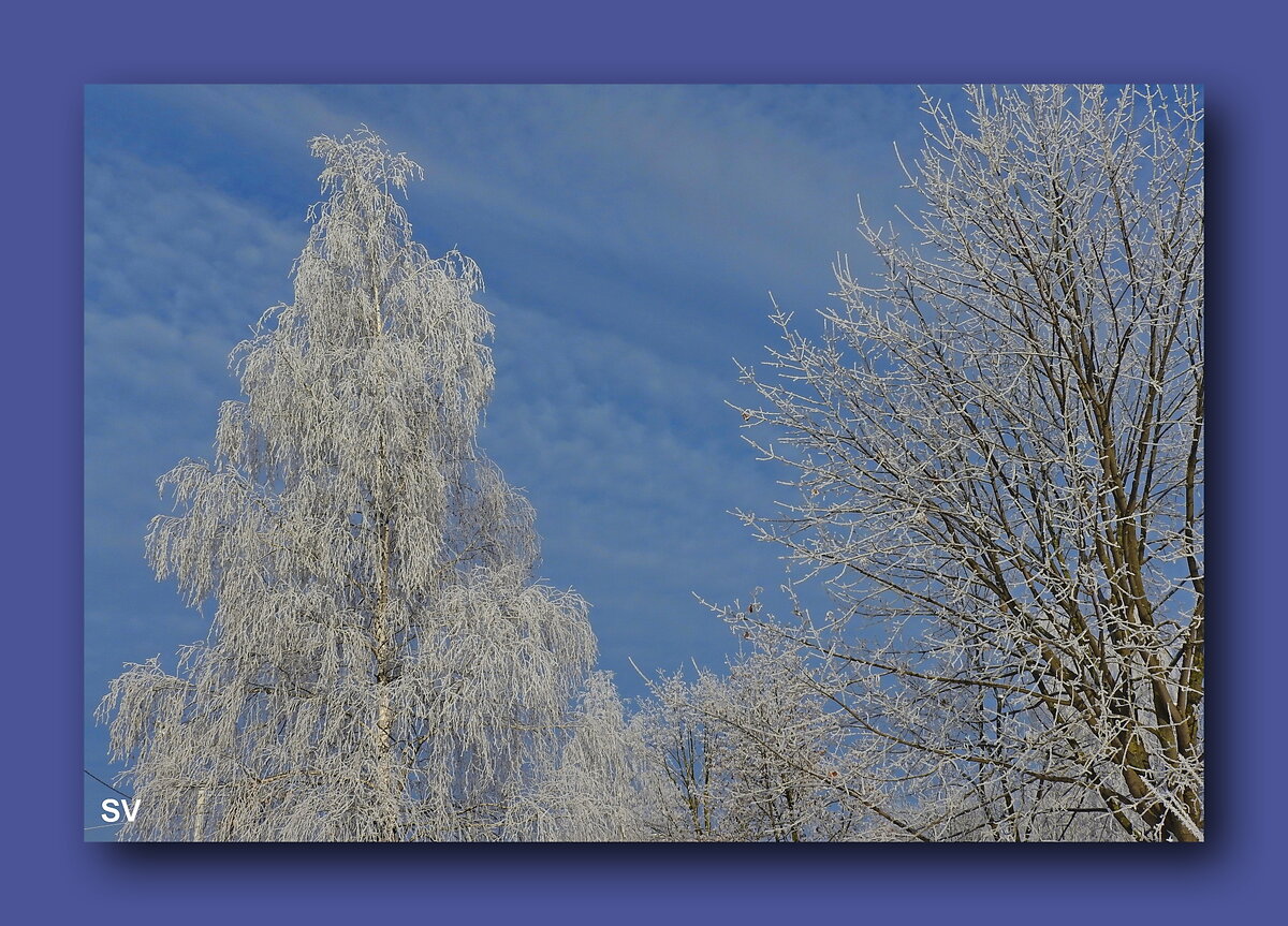 Снимок из моего фотоархива
