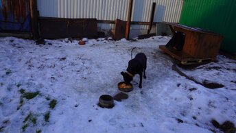 Утро в деревне до урагана в Сибири СТРОЙКА ПОЛА ДОМА В НЕПОГОДУ вкусный обед от мамы И САМ ВЕТЕР КОТОРЫЙ МНОГО НАДЕЛАЛ ЛЮДЯМ НЕХОРОШЕГО