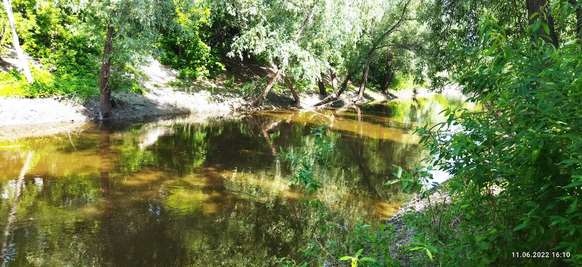 Река Барнаула, чуть ближе к речном порту за старым базаром. 