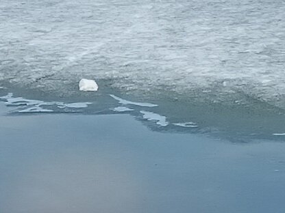 Фотография из личного архива автора