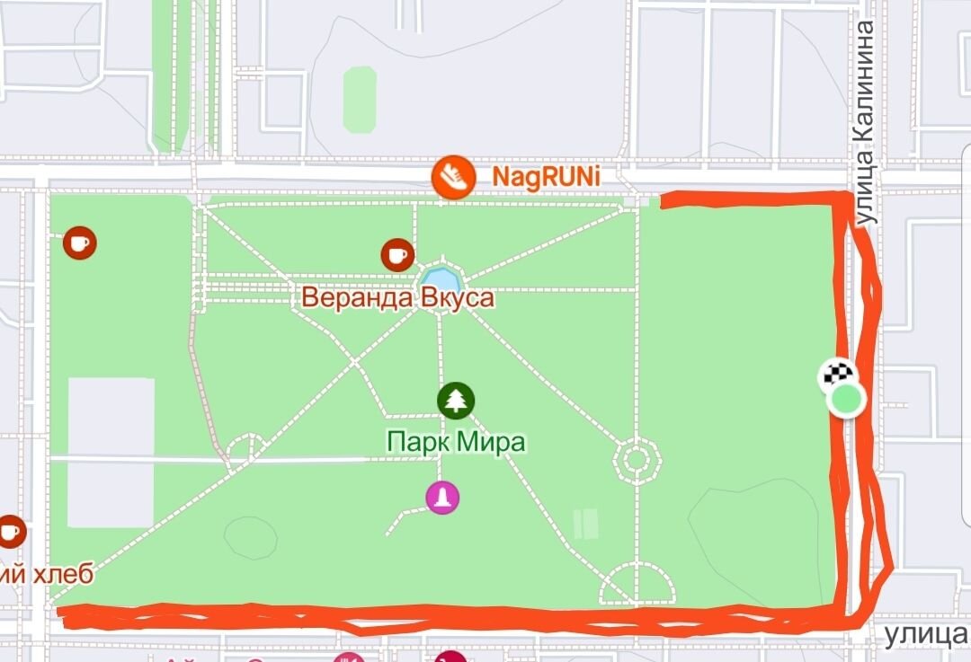 Трек из Strava