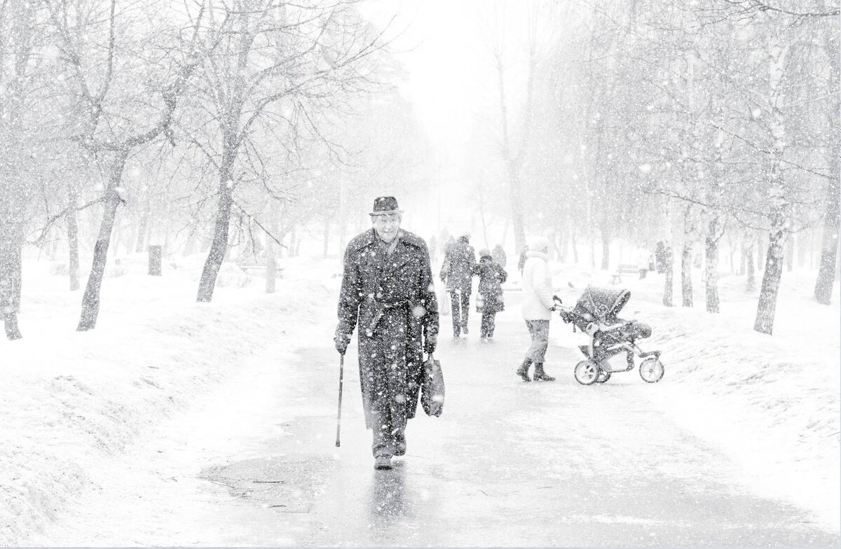 Владимир Гречанинов