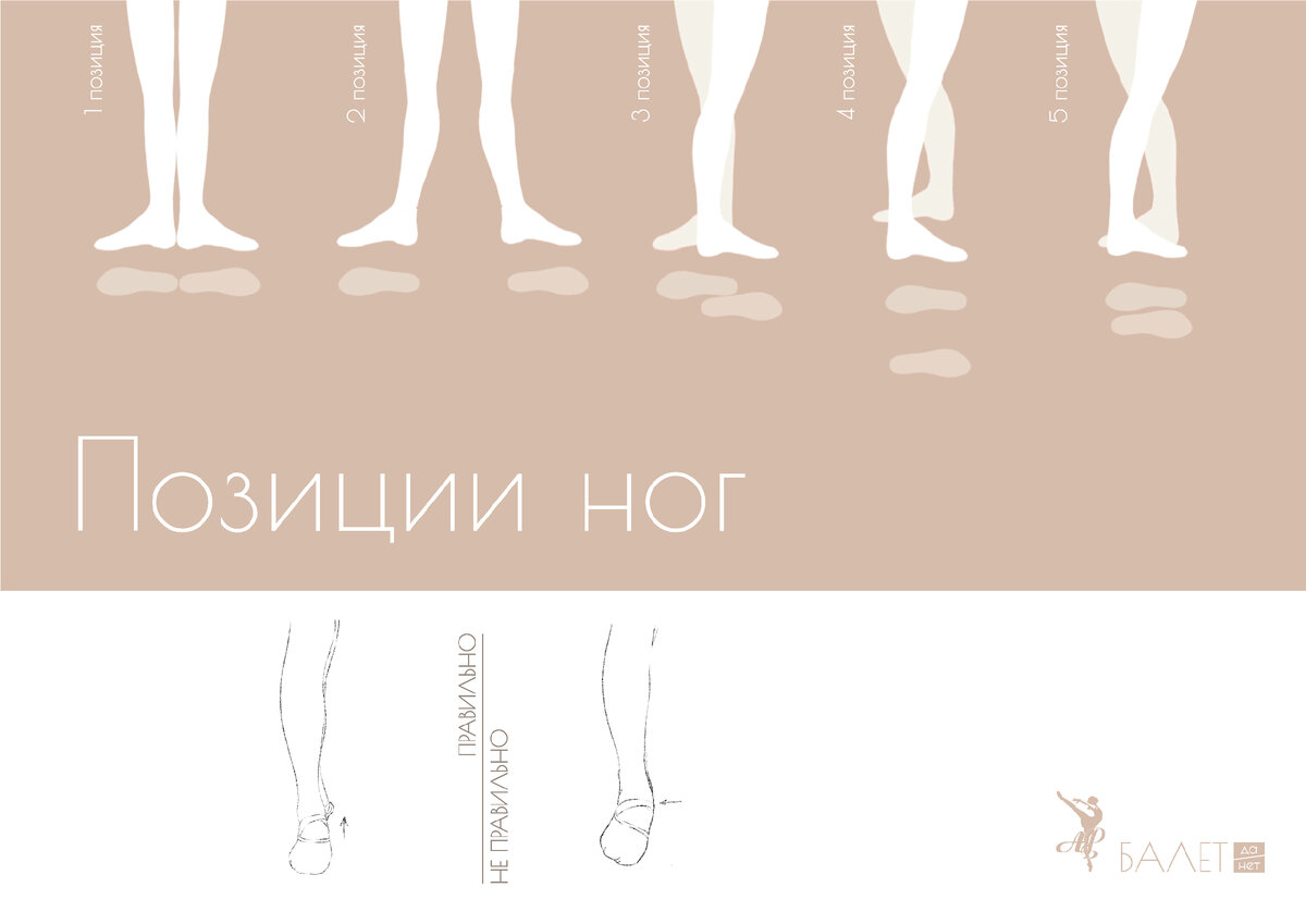 Балетные термины для новичков | Художница Алиса Кнатько | Дзен