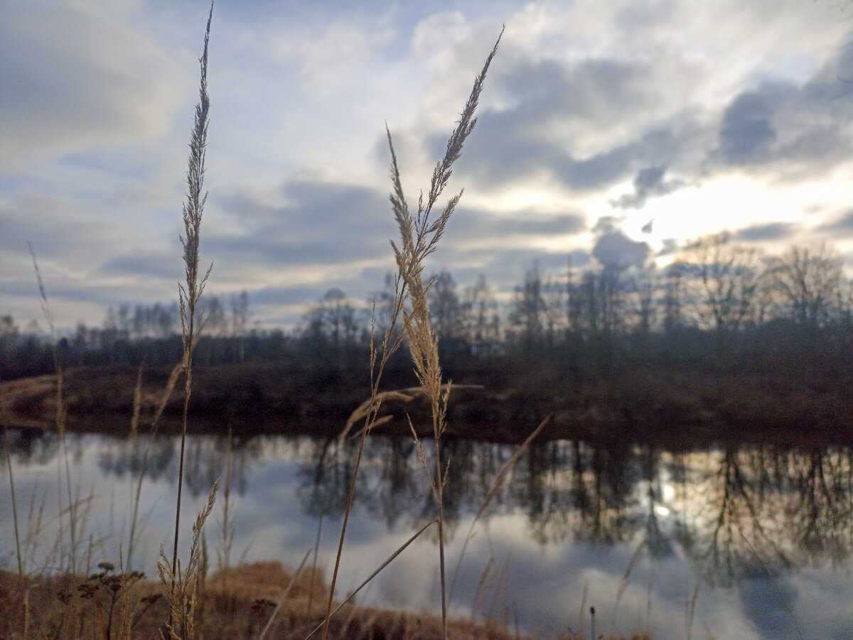 Пока фотографировала Днепр, замёрзла