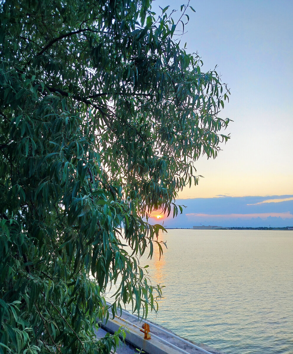 Севастопольская бухта