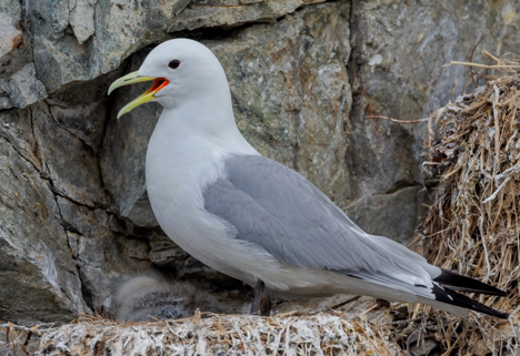  Моевка. Фото из открытых источников