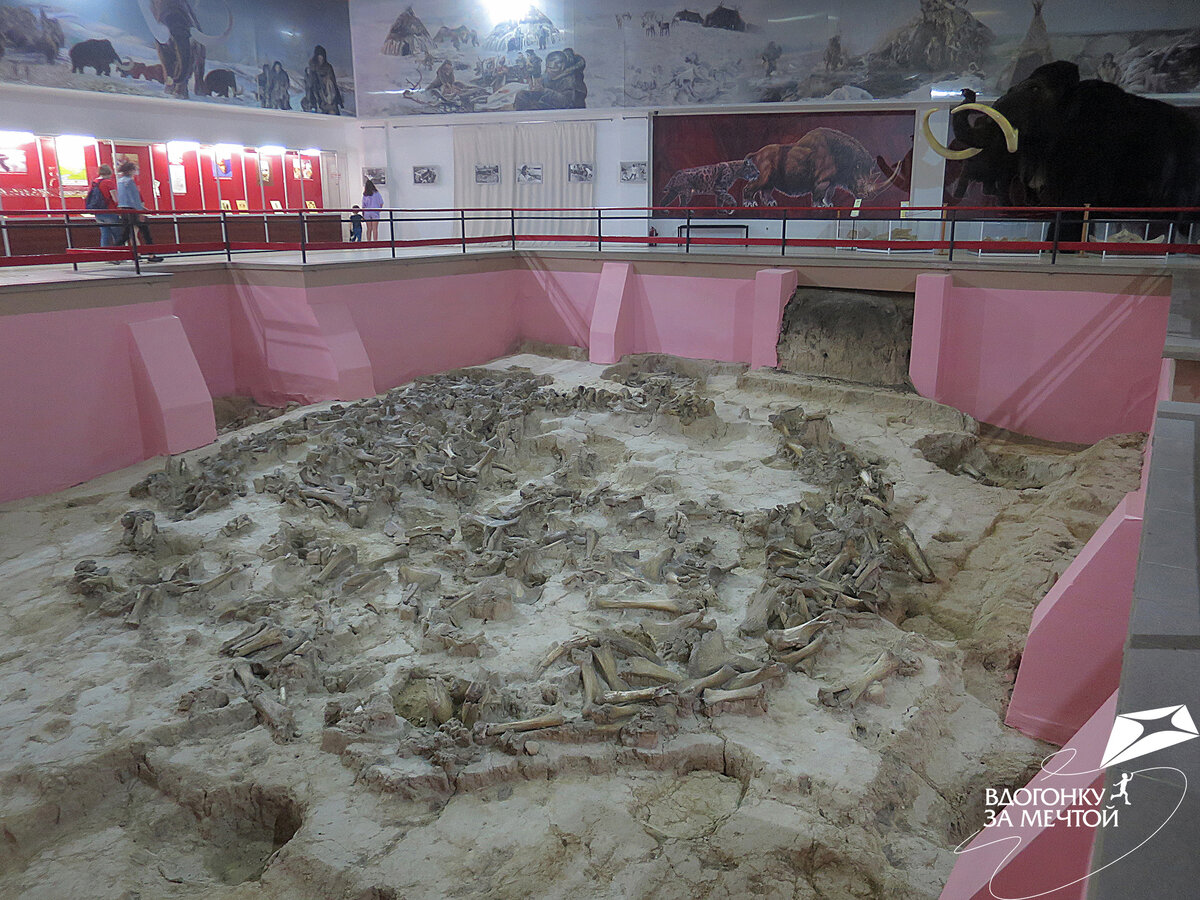 Музей в Костёнках / листаем фото