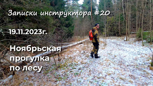 Записки инструктора #20. Сезон 2023г. Ноябрьская прогулка по лесу.