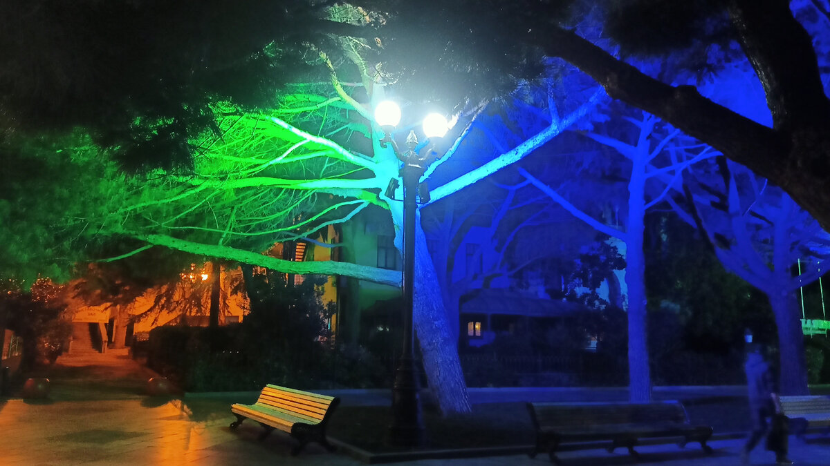 Тени. Тяжело признавать свои темные стороны?) Подсветка деревьев на Набережной Ялты, ноябрь 2023 года. Фото Елены Кузнецовой.