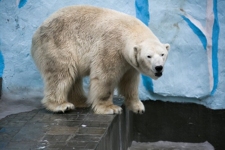 © Фото VN.ru.📷
