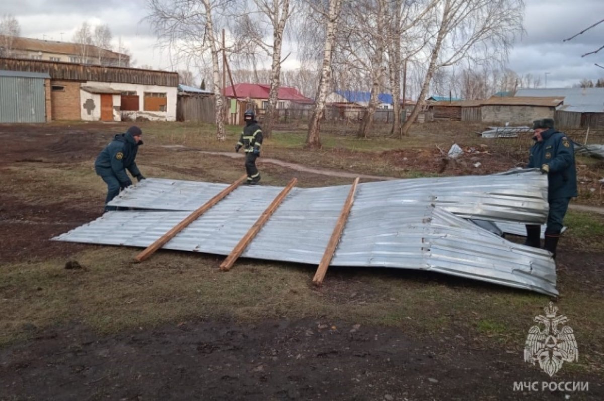    10 населенных пунктов Алтайского края остаются без света после урагана