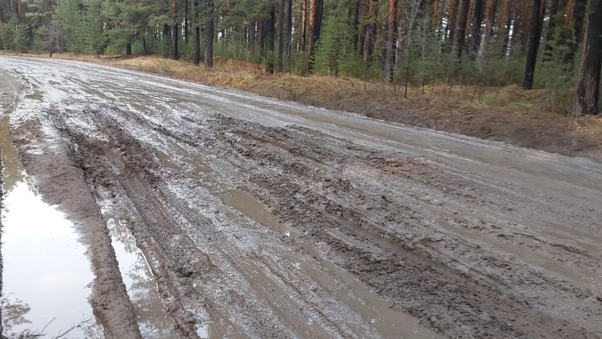 Фото сломанной автодороги в лесу