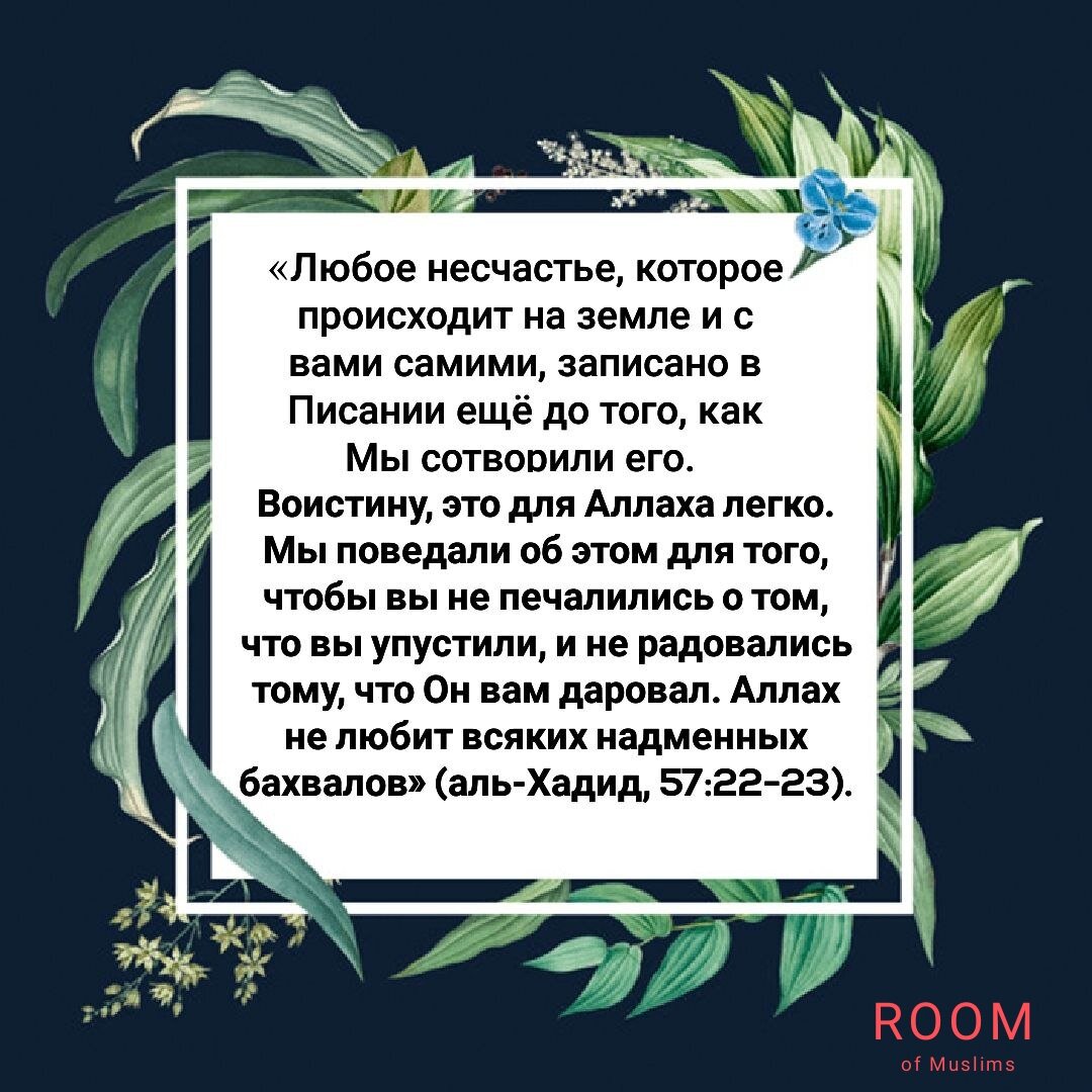 Предопределение. | Room of Muslims | Дзен