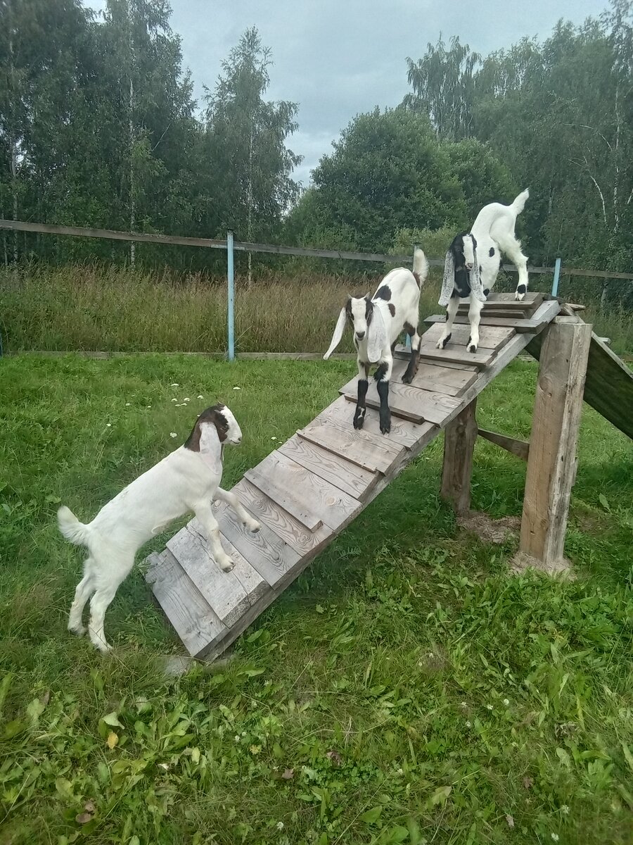 Фото автора. 