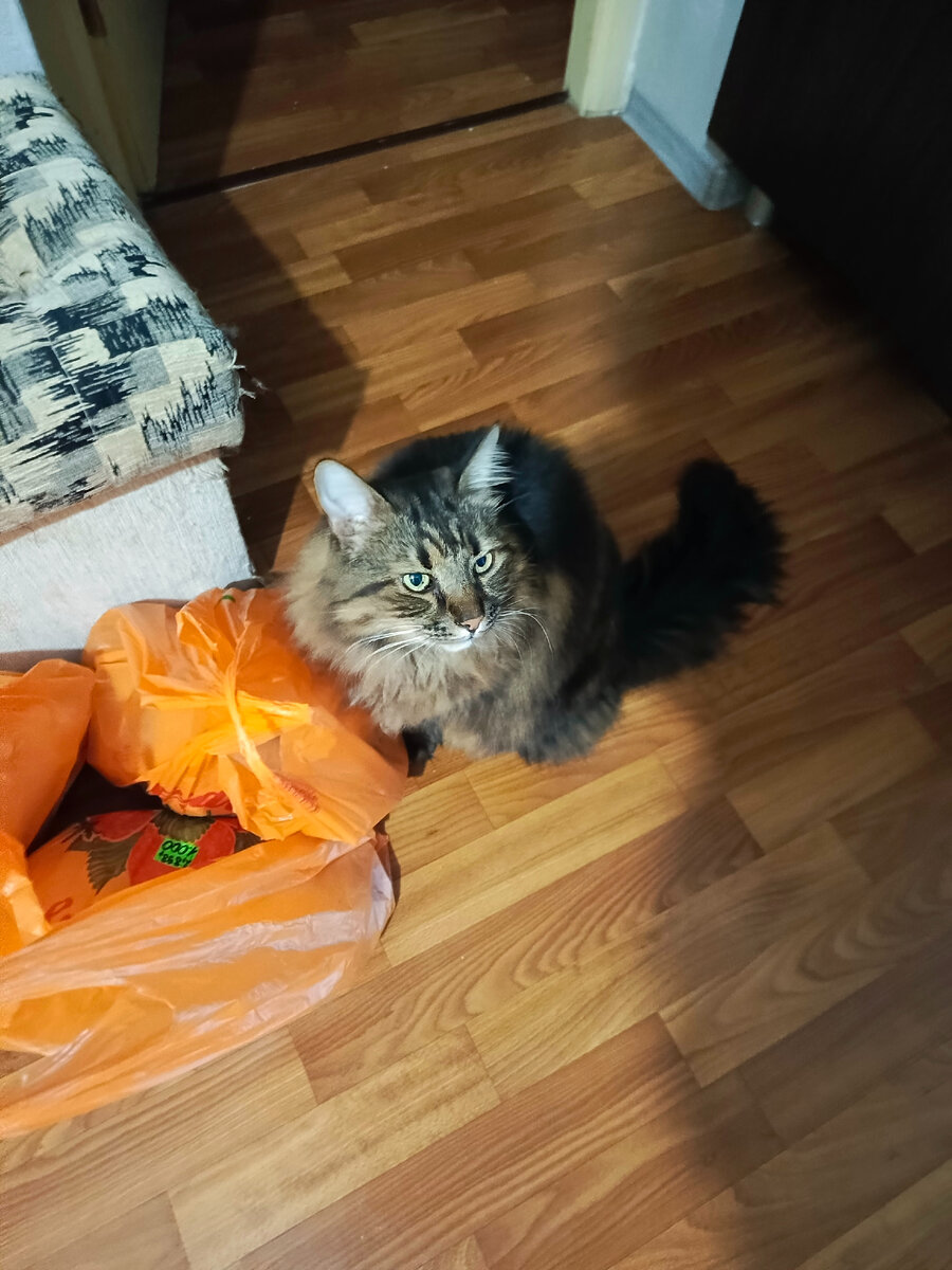 В пакетах курочки и утка