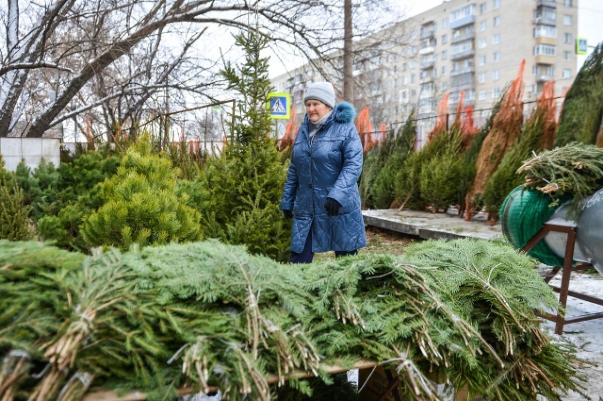    В Ленинском округе Омска будут работать 22 ёлочных базара