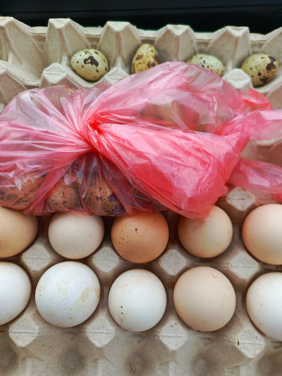 Яйца куриные и перепелиные
