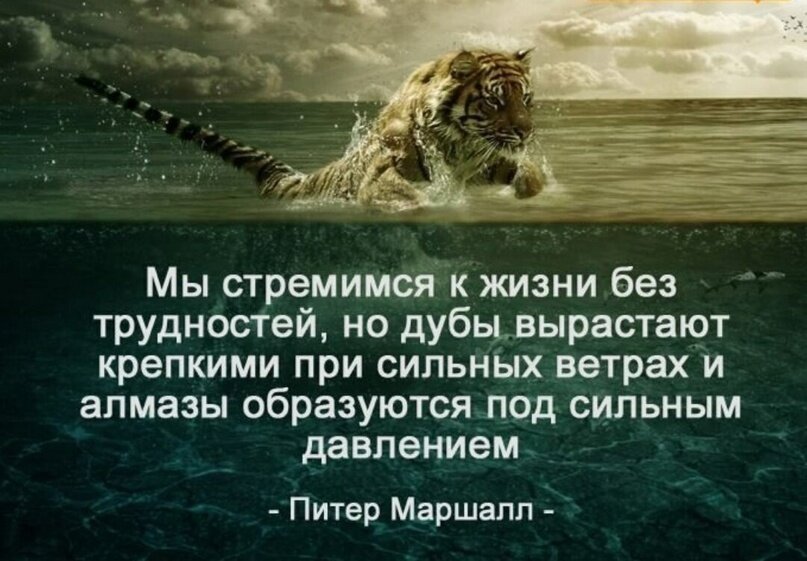 Картинка из интернета