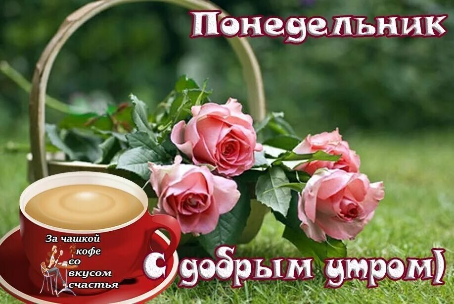 фото из интернета