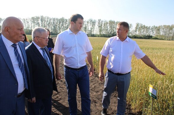 Осмотр полей научного учреждения: директор Омского АНЦ М. Чекусов, председатель правительства Омской области В. Хоценко, заместитель президента РАН П. Чекмарев, глава регионального Минсельхоза Н. Дрофа