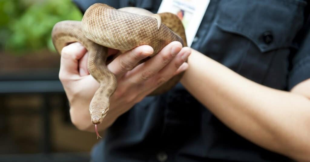 Источник - Shutterstock.com