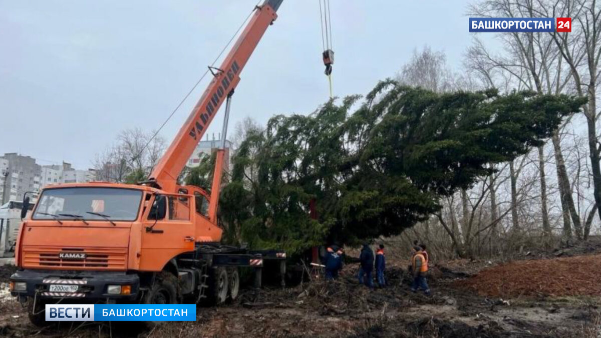    В Уфе появятся 18 новогодних городков