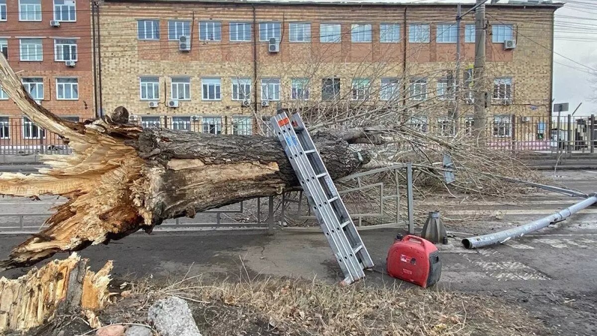 Мощный ураган в Сибири: убивает людей, срывает крыши, обесточивает десятки  город | НОВЫЕ ИЗВЕСТИЯ | Дзен