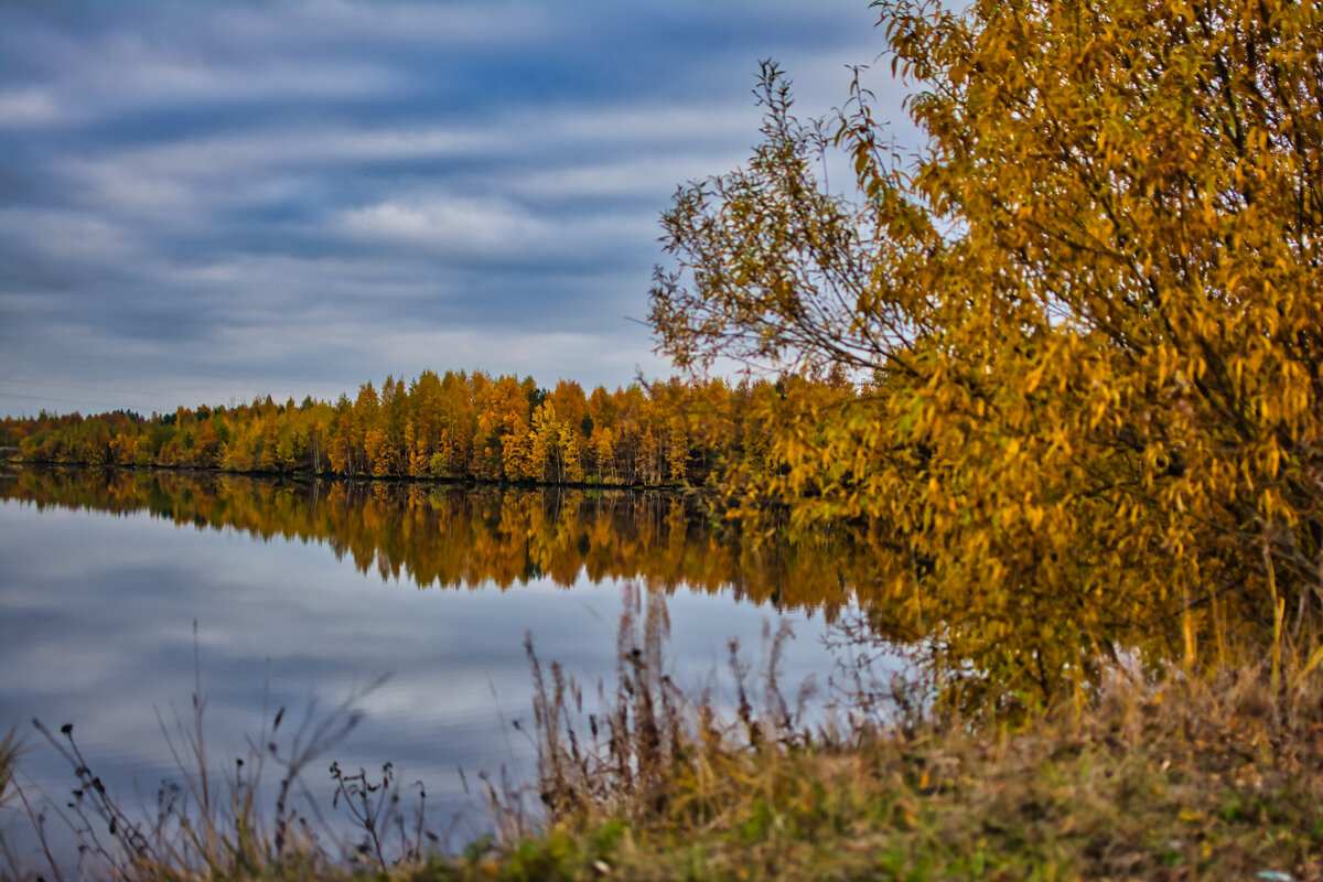 Картинка для разбавления повествования. Фото моё.