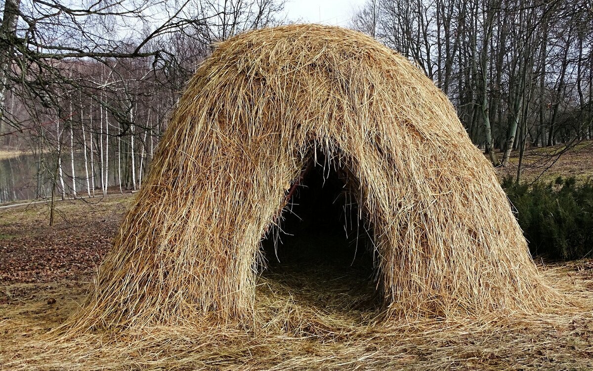 Шалаш - индивидуальный жилой дом из сена.