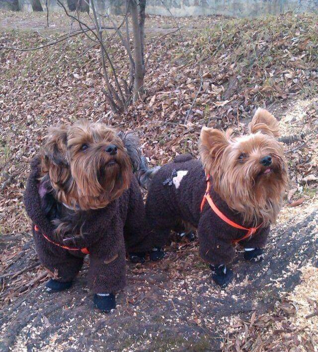 Желаем вам приятного аппетита! Великолепная еда - залог прекрасного настроения и отличного здоровья. Пусть все ваши блюда будут невероятно вкусными, полезными и питательными! 